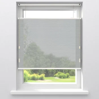 Fashion Kwantum Fenstr Dubbel Plisségordijn Lou Transparant Naturel