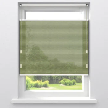 Best Kwantum Fenstr Dubbel Plisségordijn Maud Transparant Groen