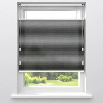 Clearance Kwantum Fenstr Plisségordijn Raya Lichtdoorlatend Antraciet