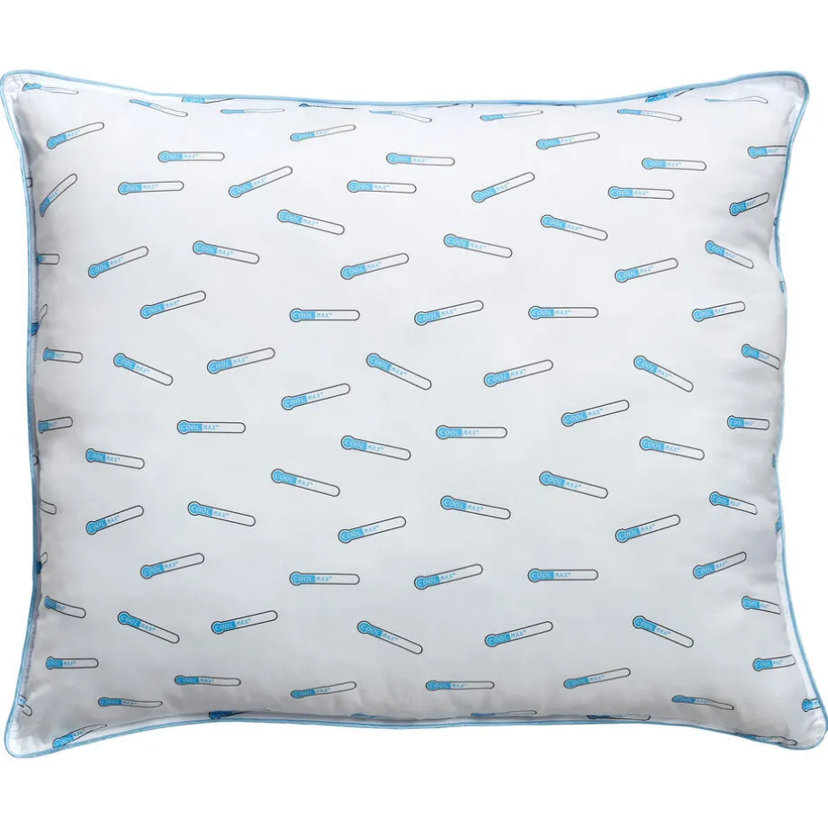 hoofdkussen-coolmax-fria-GRTdVjPZ-0.webp Best Kwantum Hoofdkussen Coolmax Fria