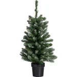 kerstboom-fiss-frosted-groen-lHEhOhvL-0.webp