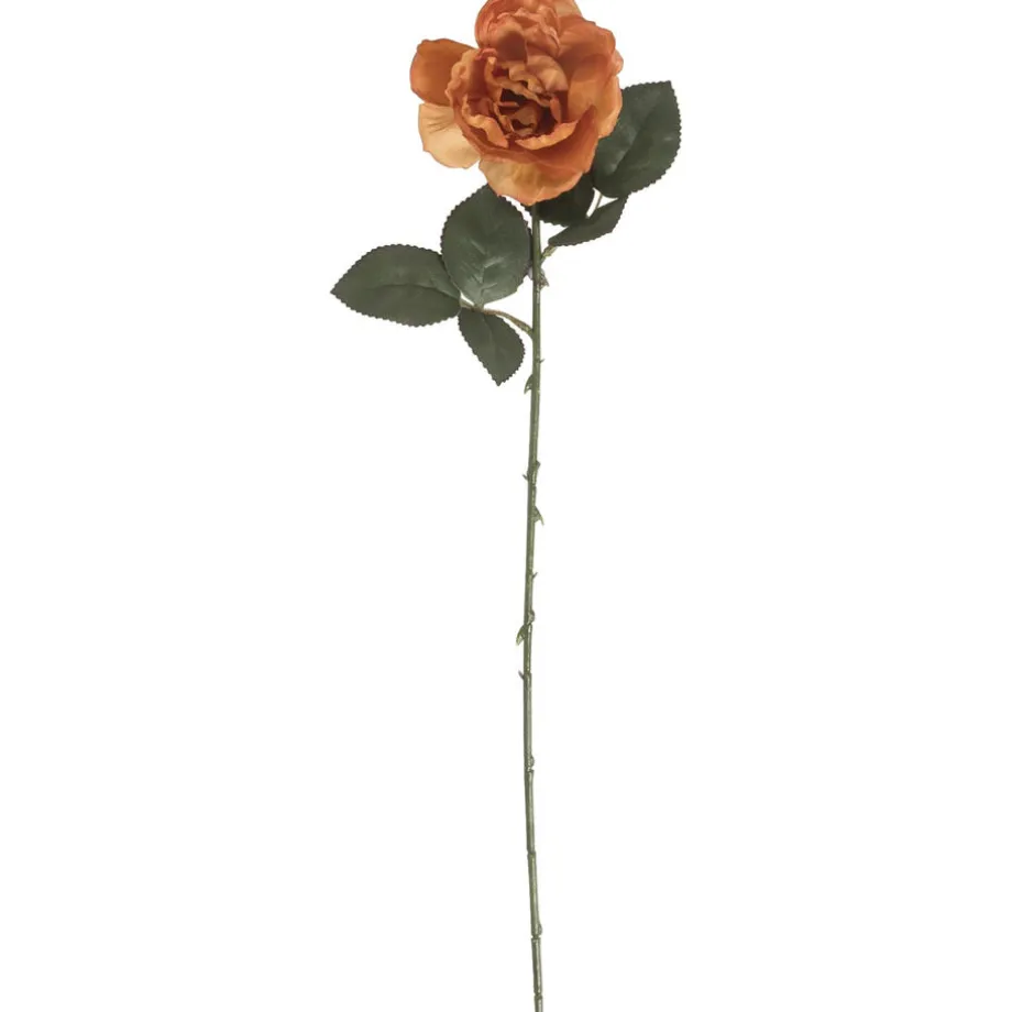 kunstbloem-roos-terra-zDljXZBn-0.webp New Kwantum Kunstbloem Roos Terra