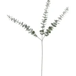 Online Kwantum Kunsttak Eucalyptus Groen