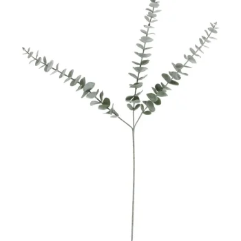 Online Kwantum Kunsttak Eucalyptus Groen