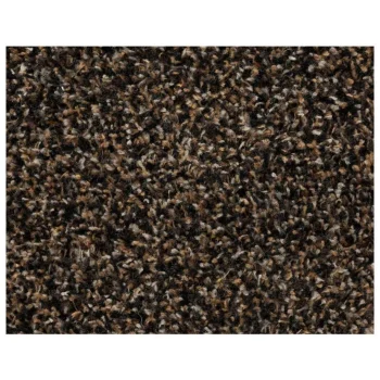 Fashion Kwantum Loper Kingston Bruin