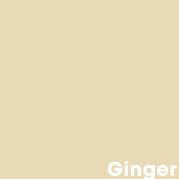 Online Kwantum Muurverf Professional Ginger 1 L 1L
