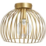 Clearance Kwantum Plafondlamp Dian Goud