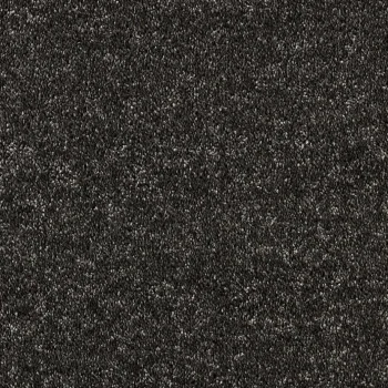Outlet Kwantum Tapijt Canora Antraciet