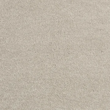 Online Kwantum Tapijt Canora Beige