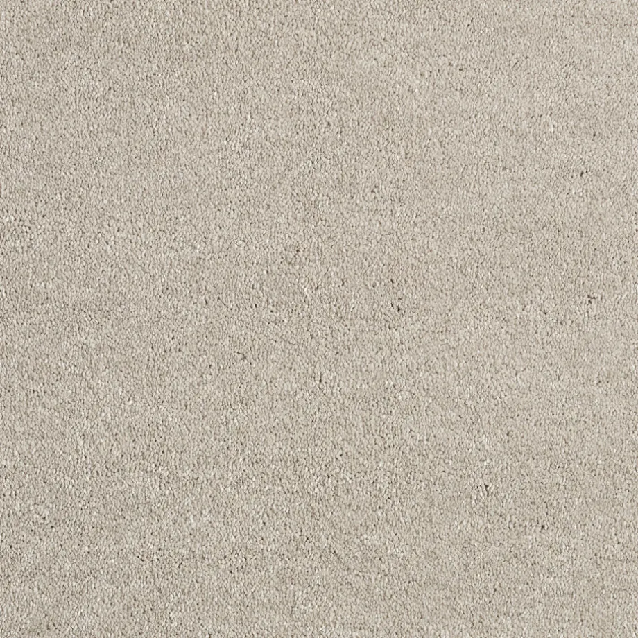 tapijt-canora-beige-PxWEHaJW-1.webp Online Kwantum Tapijt Canora Beige